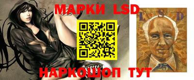 СК Бузулук
