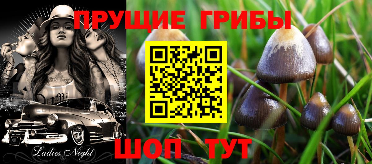 Новосибирск  Галлюциногенные грибы MAGIC MUSHROOMS  Псилоцибиновые грибы ЛСД  Вход с VPN 